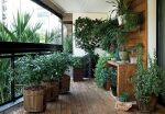 Как превратить балкон в зеленый  оазис растений