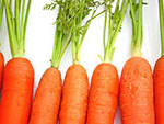 свойства моркови
