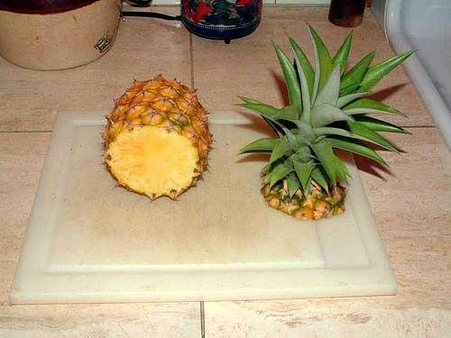  как вырастить ананас в домашних условиях