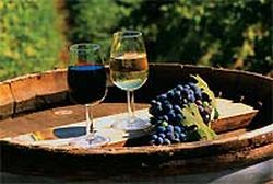 Домашнее вино из винограда рецепты в домашних условиях